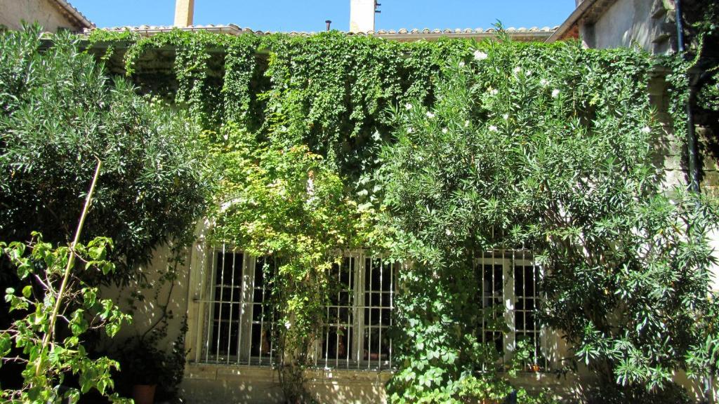 Maison D'Hotes La Boca Sommières Værelse billede